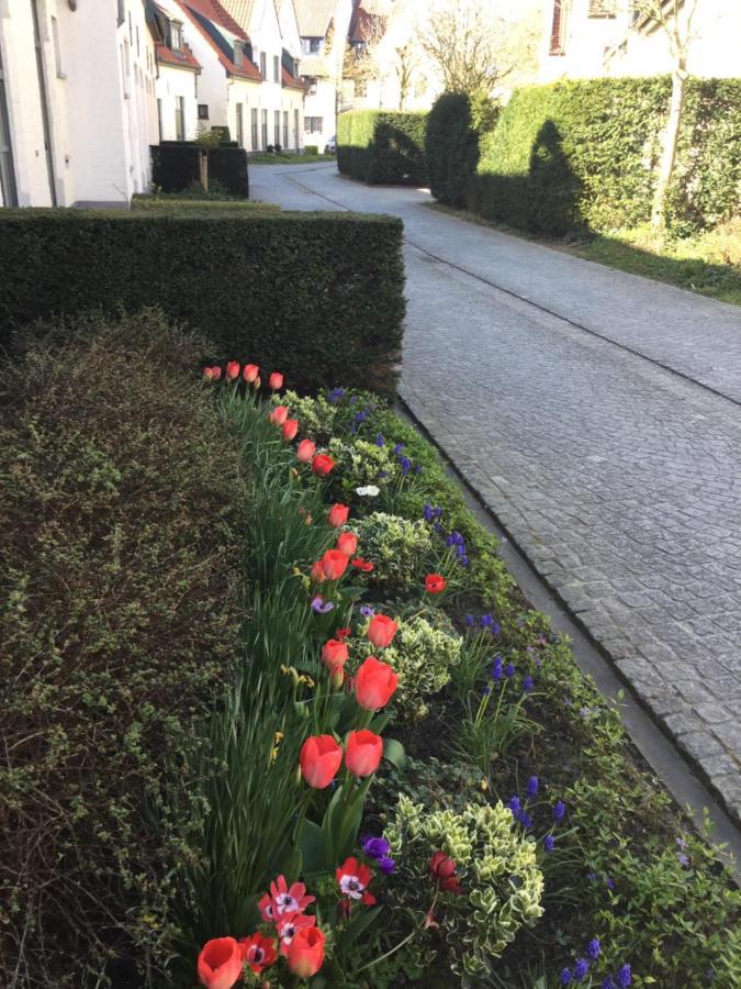 B&B Het Colettientje Brugge Kültér fotó