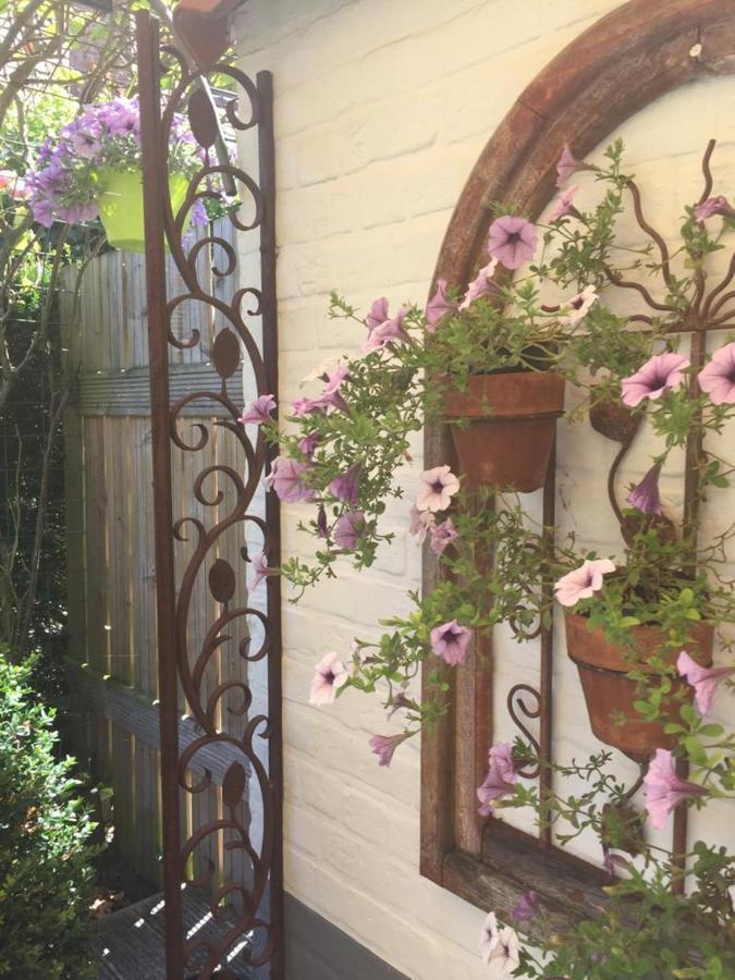 B&B Het Colettientje Brugge Kültér fotó